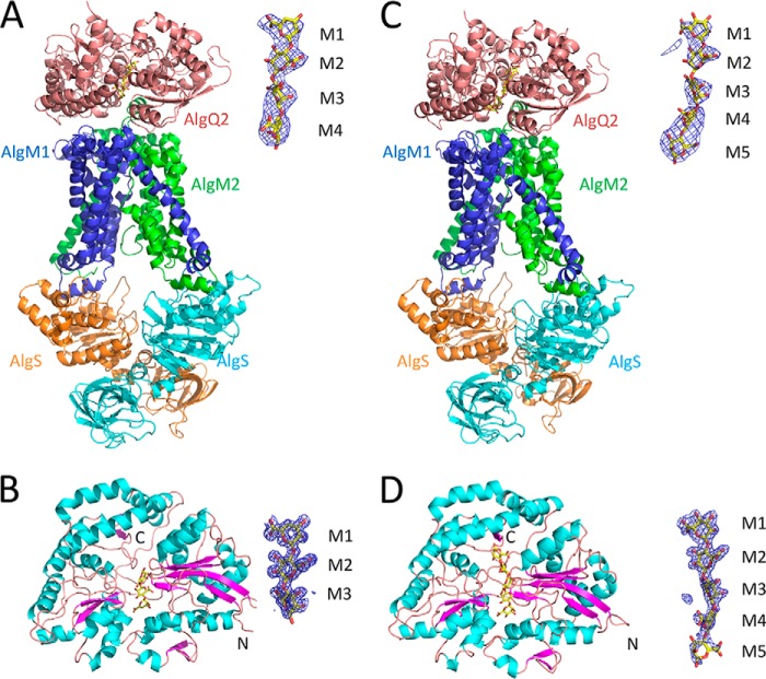 Figure 4.