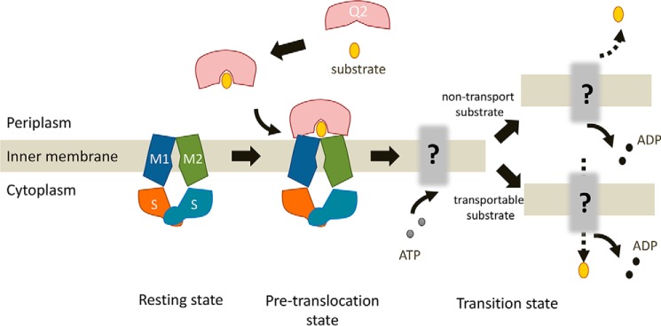 Figure 6.