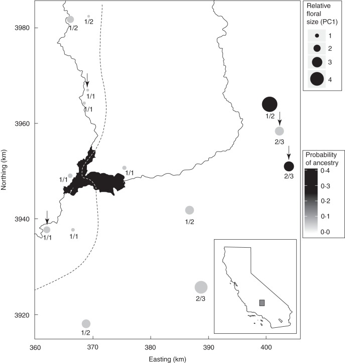 Fig. 1.