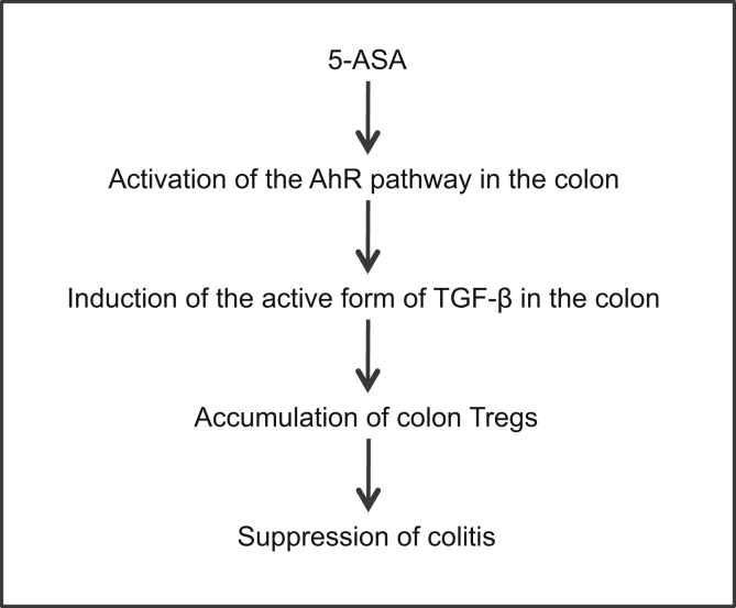 Figure 11