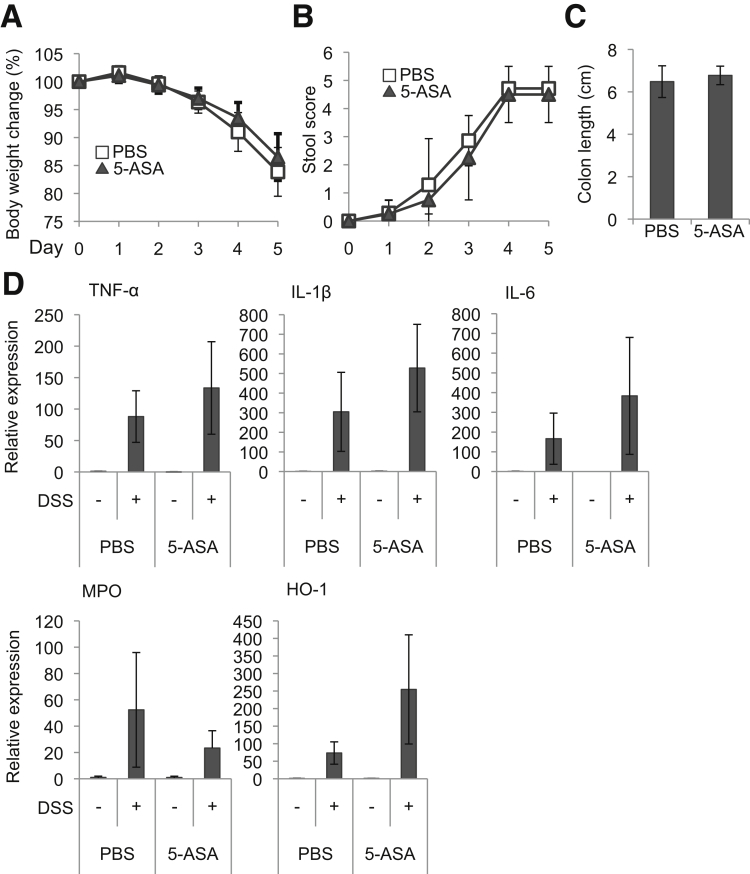 Figure 10