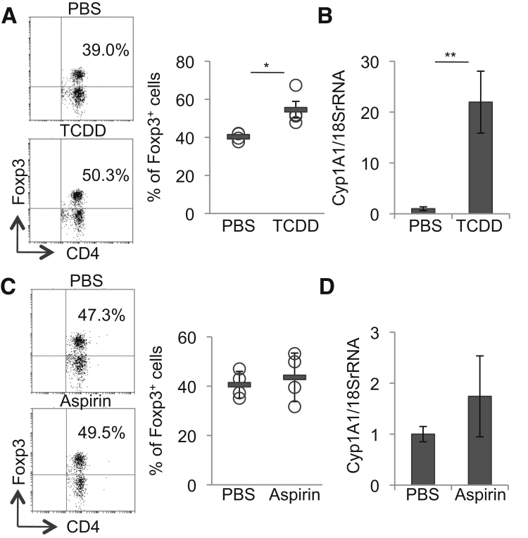 Figure 5