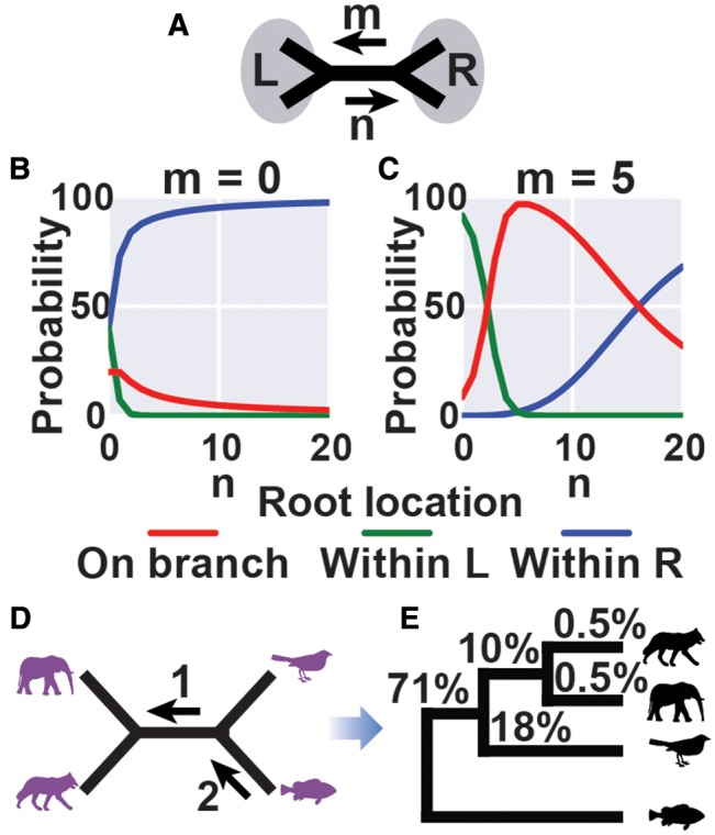 Fig. 8.