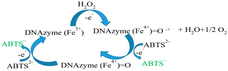 Figure 8