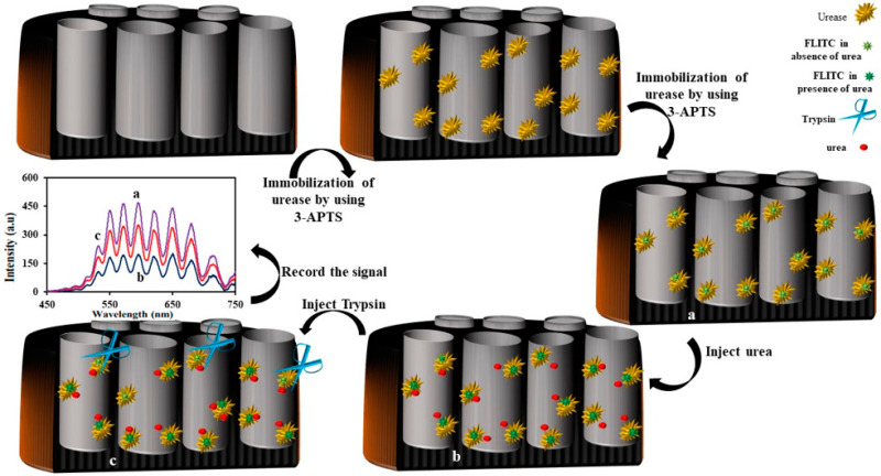 Figure 14