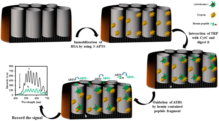 Figure 13