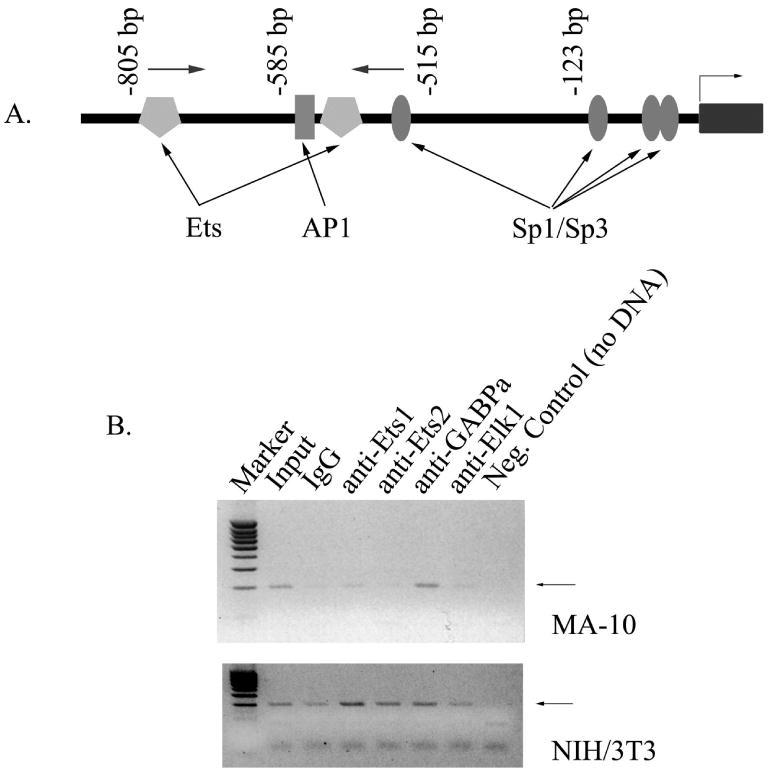 Figure 9