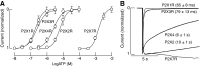 <b>FIG. 1.</b>