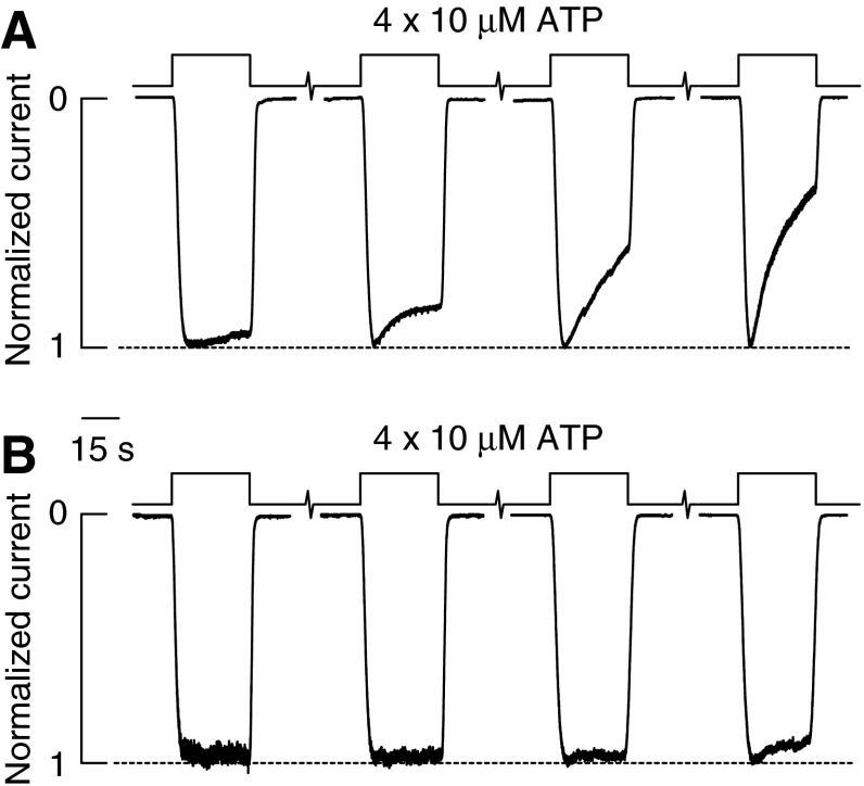 FIG. 7.