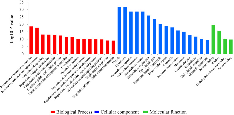 FIGURE 1