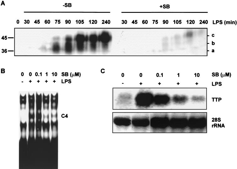 FIG. 6