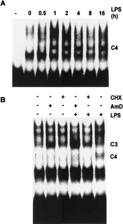 FIG. 4