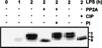 FIG. 7