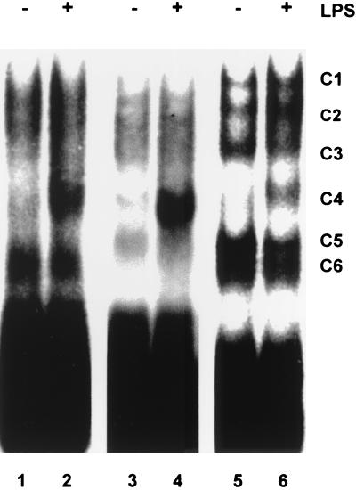 FIG. 1