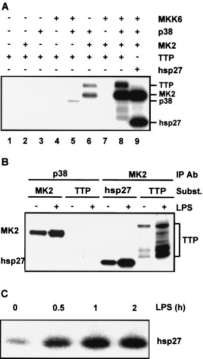 FIG. 8