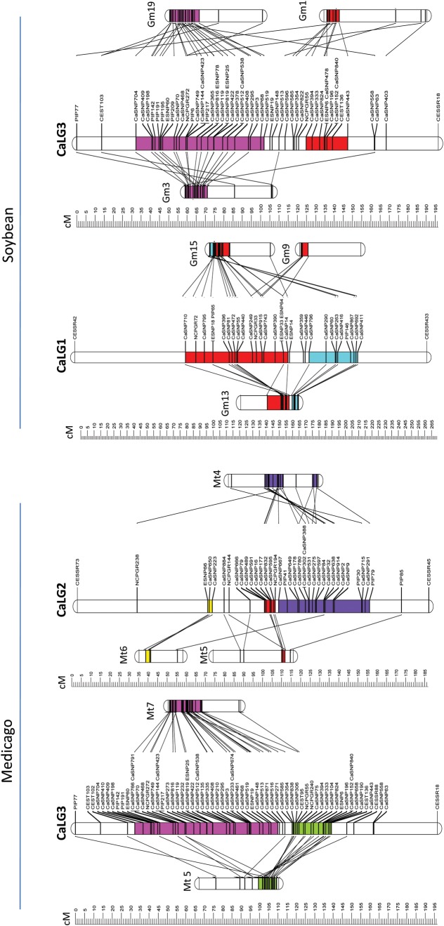 Figure 3.