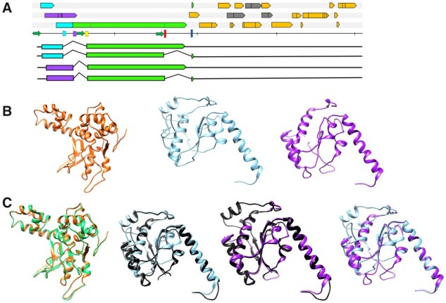 Figure 2.