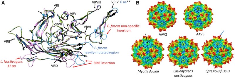 Figure 5.