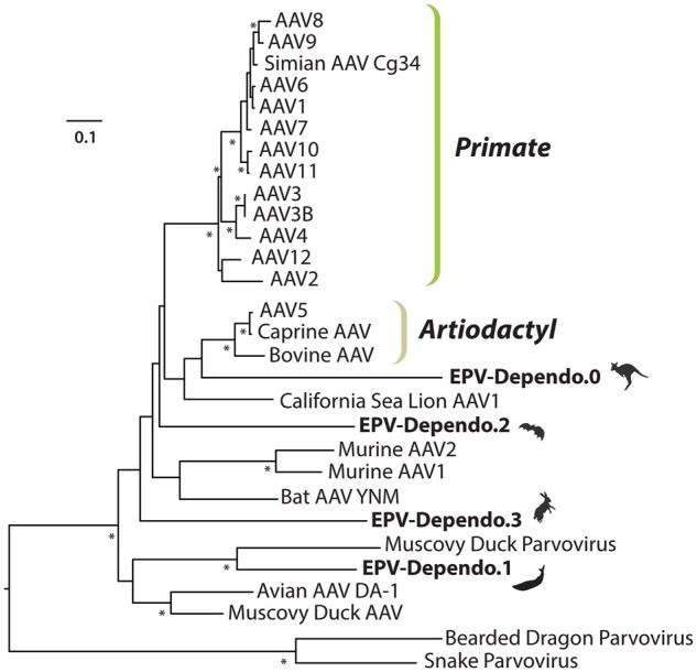 Figure 6.