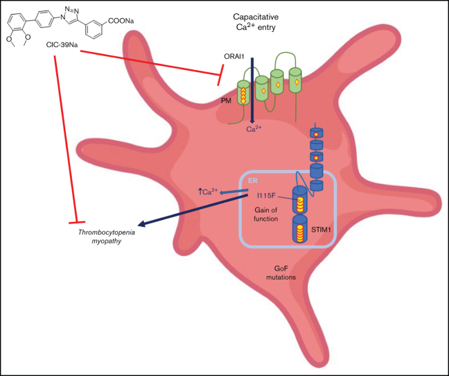 graphic file with name grabsf1.jpg