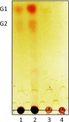 FIG 5