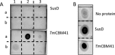 FIG 8