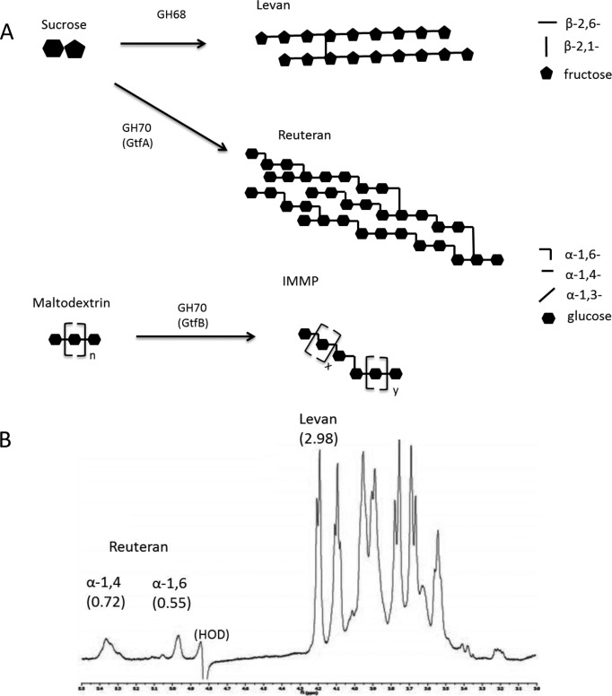 FIG 1