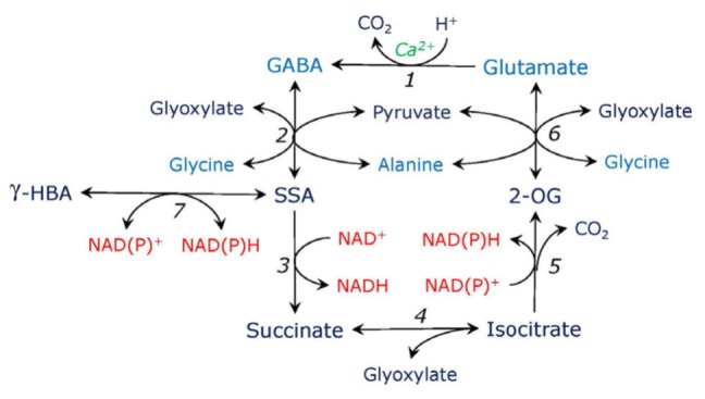 FIGURE 3