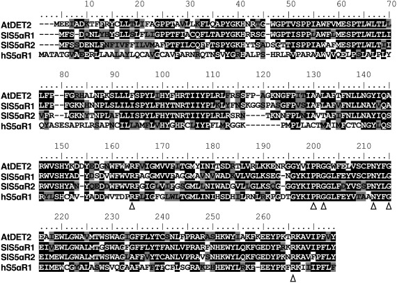 Figure 2. Multiple sequence alignment of SlS5αR1 and SlS5αR2 with AtDET2 from Arabidopsis thaliana and human hS5αR1. Black and gray shades indicate identical and similar amino acid residues, respectively. Conserved residues, which are required for steroid 5α-reduction activity, are marked by white triangles.