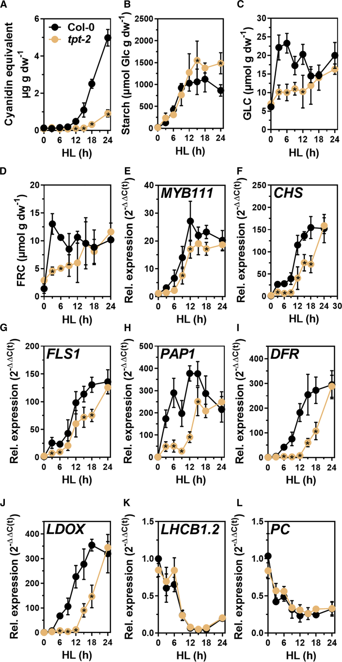 Figure 2