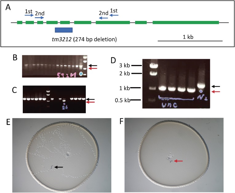 Figure 3. 