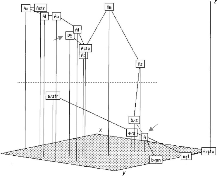 Fig. 5