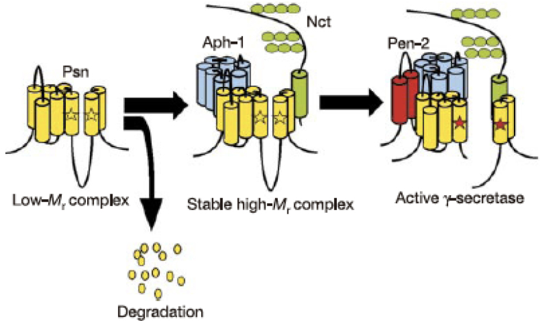 Figure 2.