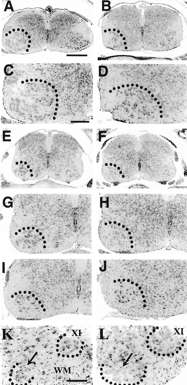 Fig. 8.