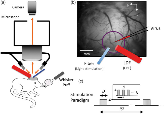 Figure 1.