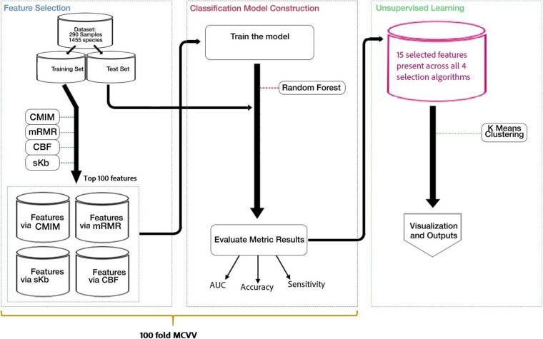 FIGURE 1