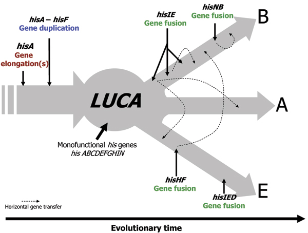 Figure 9