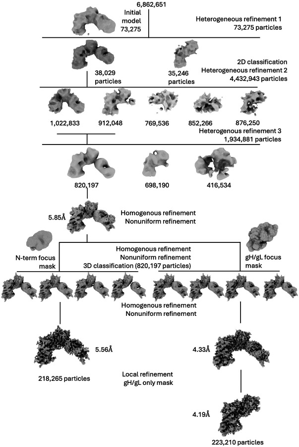 Extended Data Figure 5.