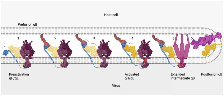 Figure 4.