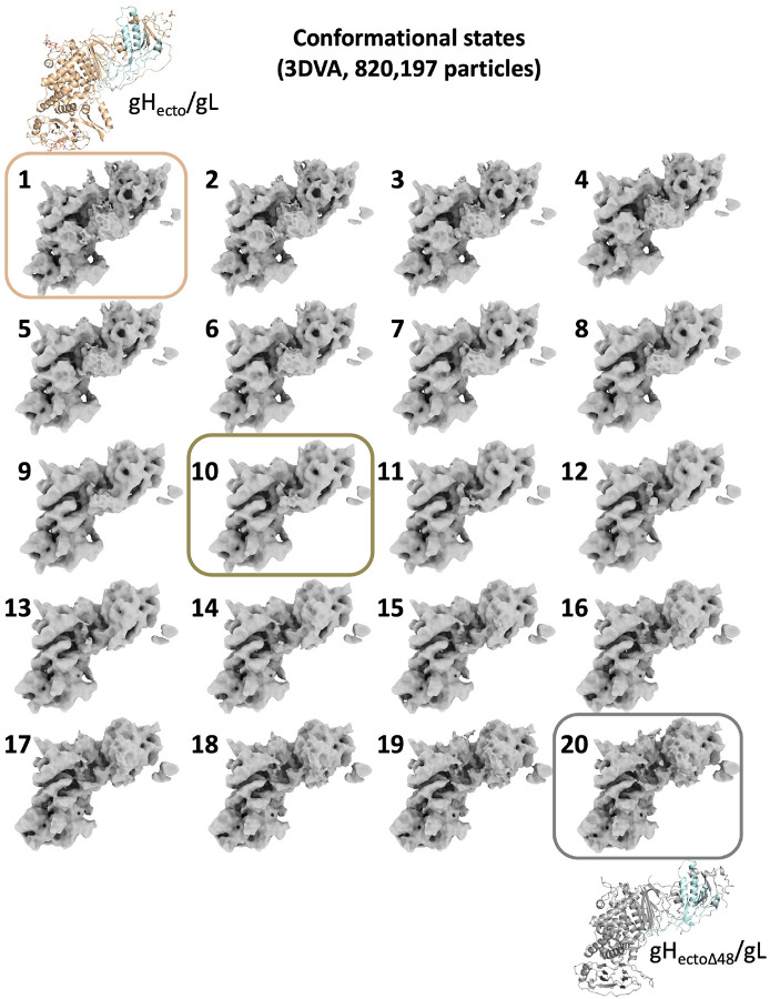 Extended Data Figure 6.