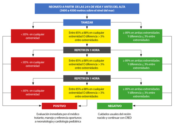 Figura 4