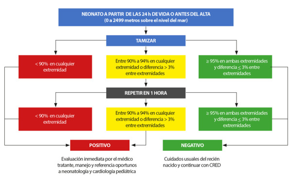 Figura 2