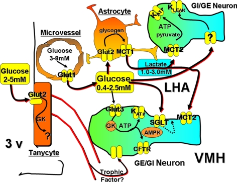 Fig. 1.