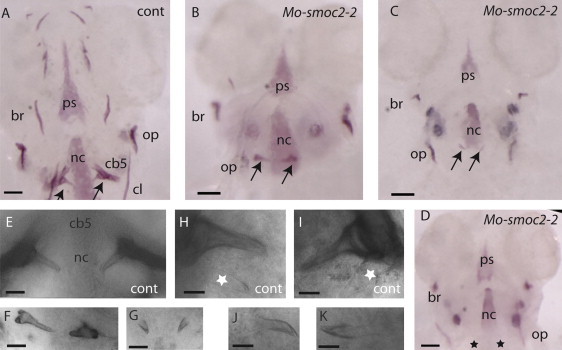 Figure 3