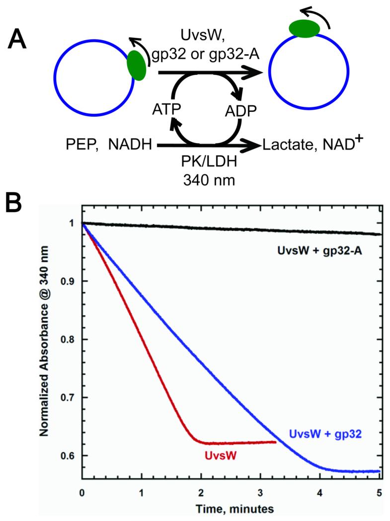 Fig 4