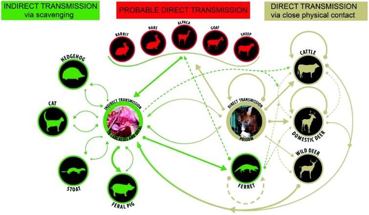 Figure 2. 