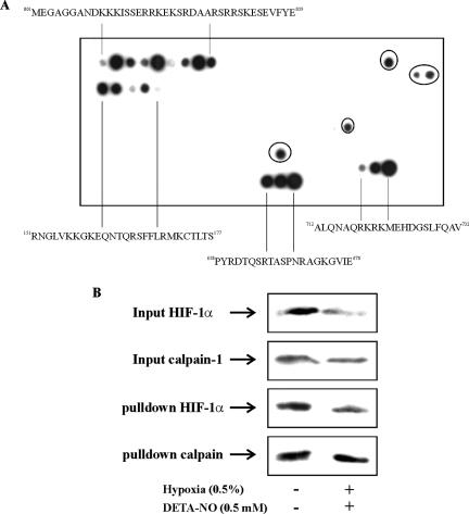 Figure 9.