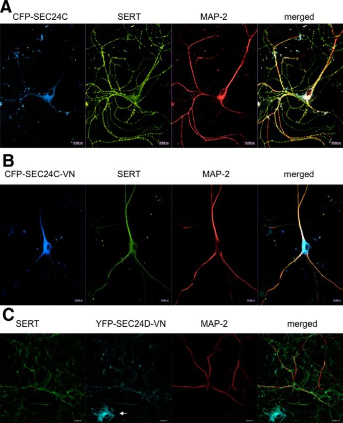 Figure 6.