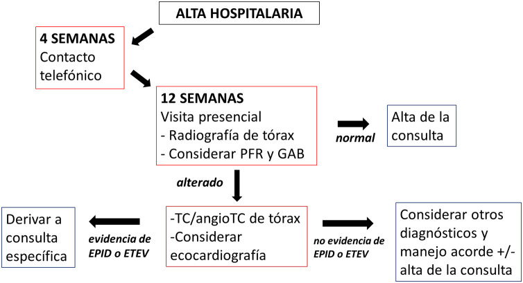 Figura 1