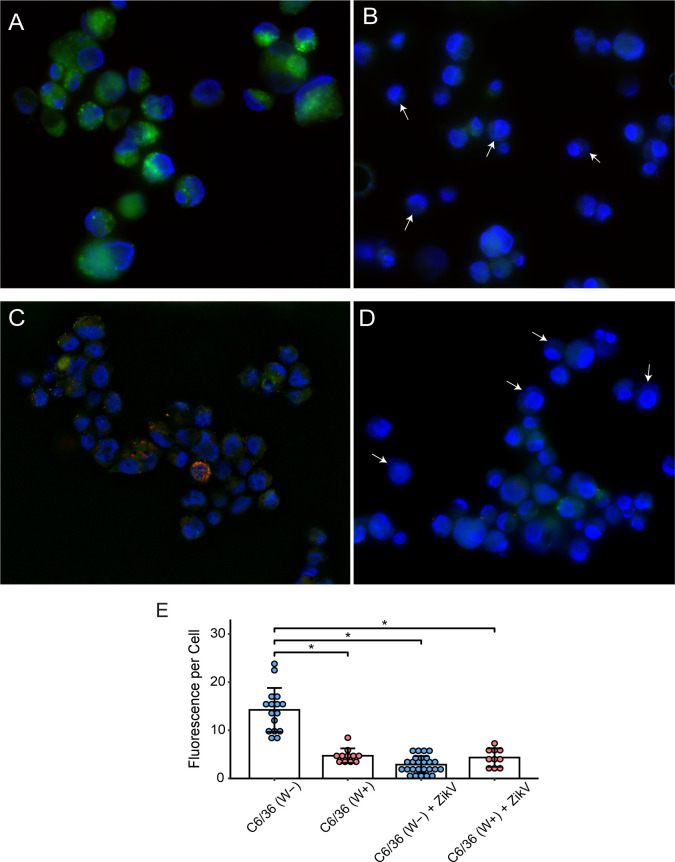 Fig 3